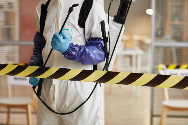 Professional Sewage Cleanup technician working in Elberta, UT